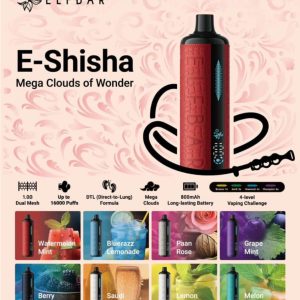 E-Shisha