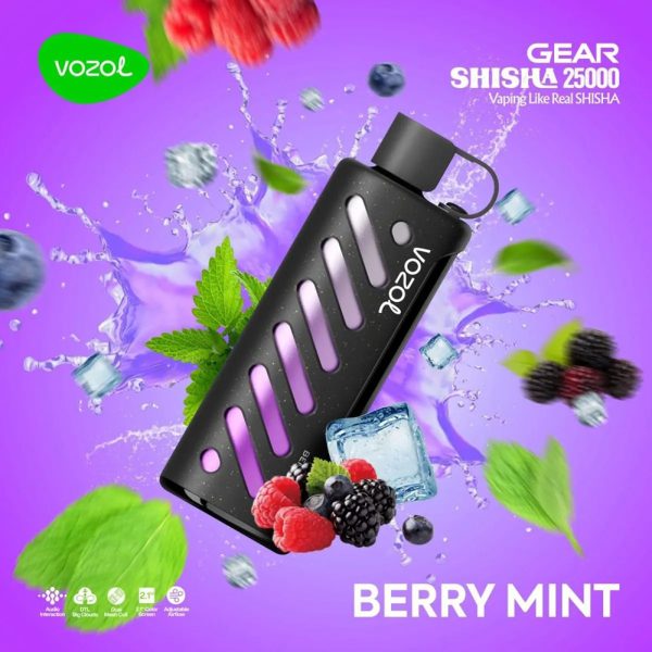 VOZOL Gear Shisha 25000 - Image 2