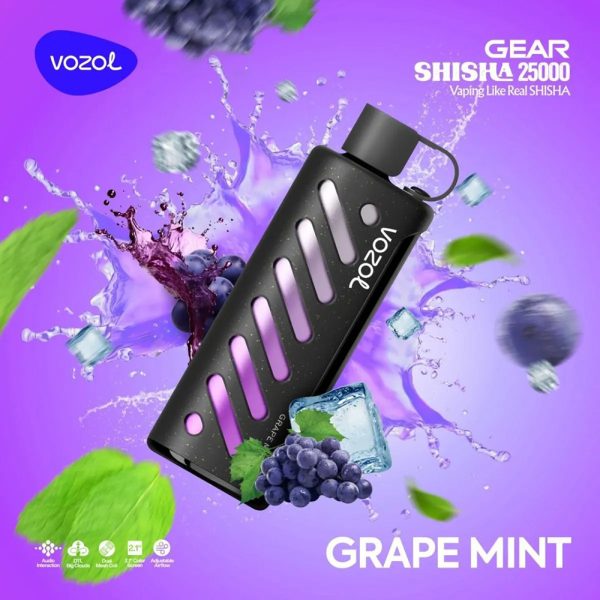 VOZOL Gear Shisha 25000 - Image 11
