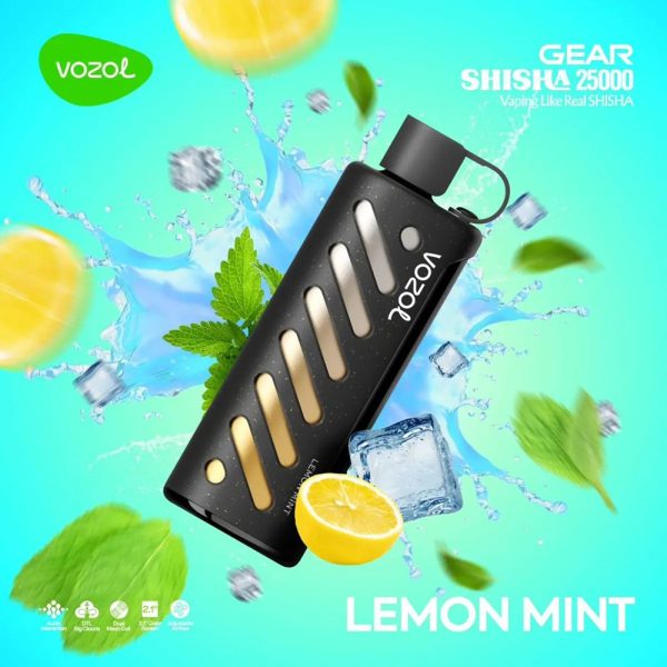 VOZOL Gear Shisha 25000 - Image 12