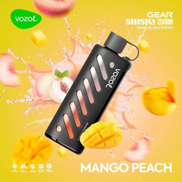 VOZOL Gear Shisha 25000 - Image 13