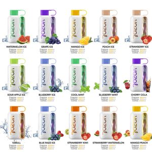 vozol star 40000 puffs Dubai