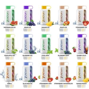 vozol star 40000 puffs Dubai