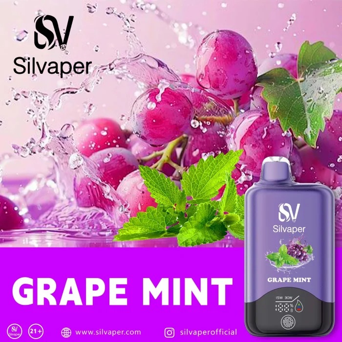 SILVAPER 15000 Puffs in Dubai UAE - Image 2