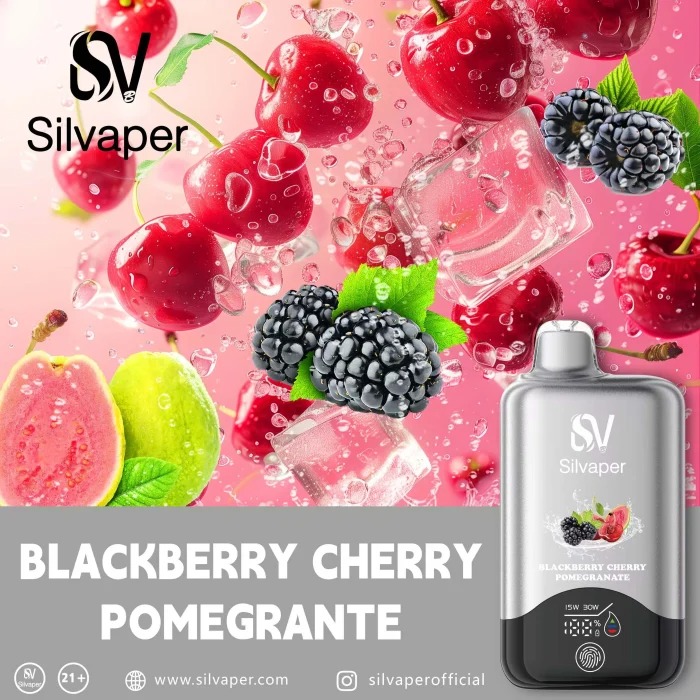 SILVAPER 15000 Puffs in Dubai UAE - Image 4