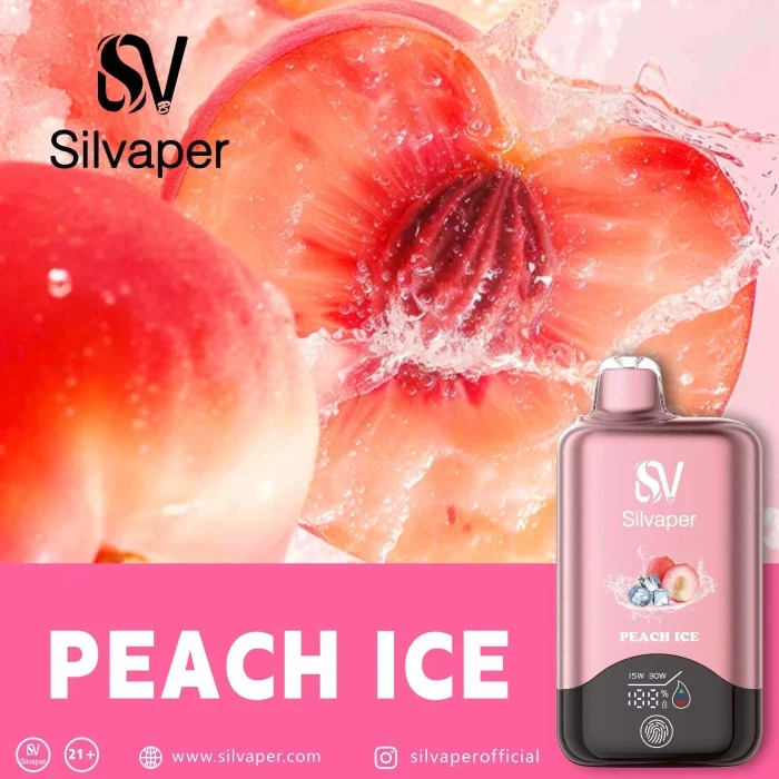 SILVAPER 15000 Puffs in Dubai UAE - Image 6