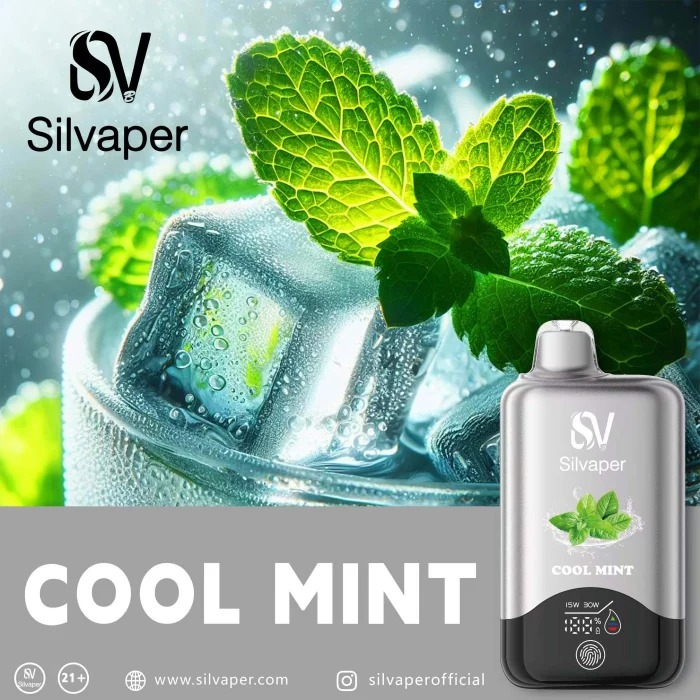 SILVAPER 15000 Puffs in Dubai UAE - Image 7