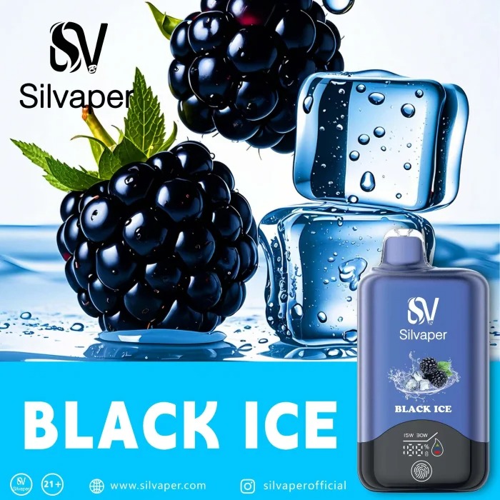 SILVAPER 15000 Puffs in Dubai UAE - Image 11